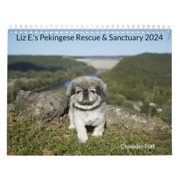 2024 Pekingese Wall Calendar middle binding