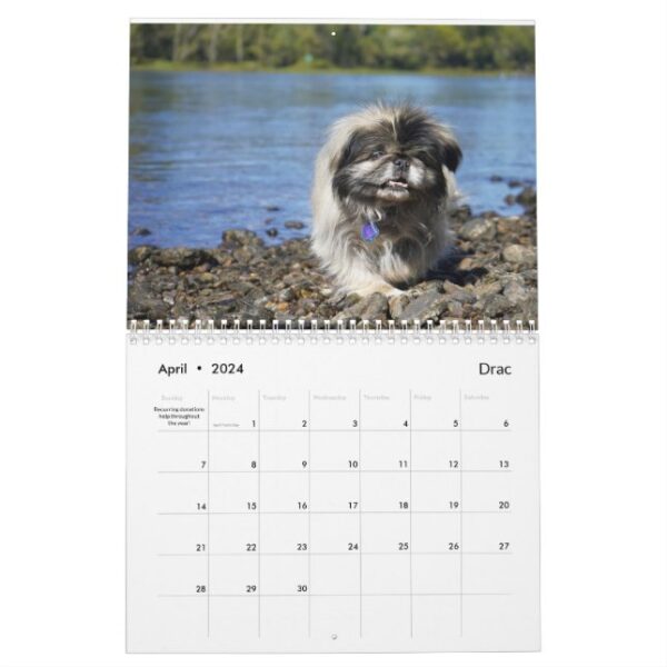 2024 Pekingese Wall Calendar middle binding - Image 5