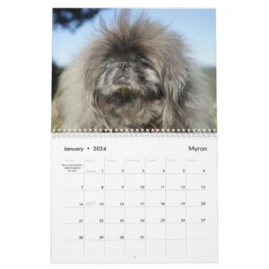 2024 Pekingese Wall Calendar middle binding