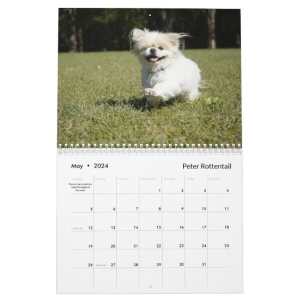 2024 Pekingese Wall Calendar middle binding - Image 6