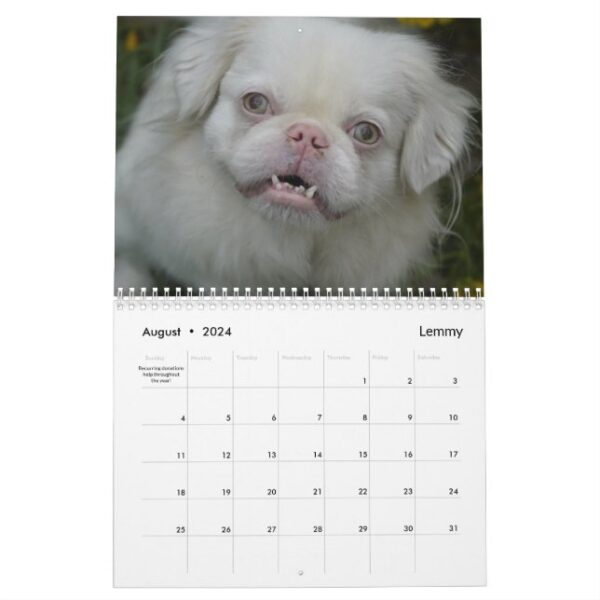 2024 Pekingese Wall Calendar middle binding - Image 9