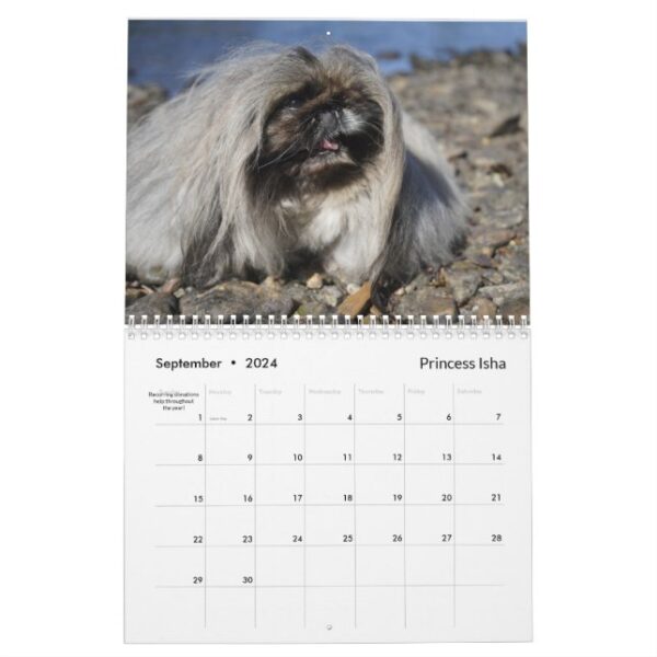 2024 Pekingese Wall Calendar middle binding - Image 10